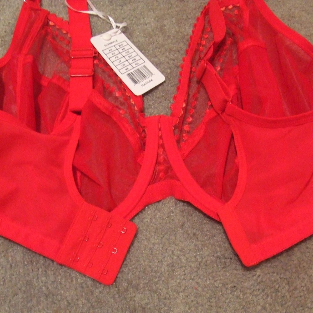 Elomi MATILDA Red Mesh Bra & Goddess KAYLA Panty - Picture 5 of 11